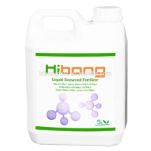 Hibong Seaweed Liquid Organic Fertilizer For Agriculture